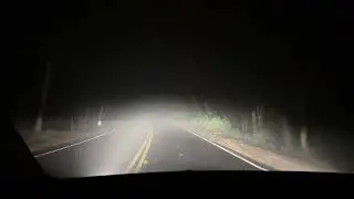 Model Y Adaptive Headlights in Crazy Heavy FOG - REAL-World Test!