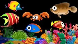 Bedtime Lullaby for Babies, Kids & Parents 😍 Animation🐟Fish lullaby🐟Calming Fishes #309 #babysle