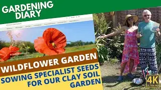 Sowing A Wildflower Garden Using Meadowmania Seeds (Garden Diary 19)