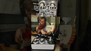 Pedal Tree GhRIM High Gain Fuzz on Bass