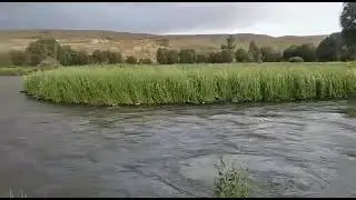 Sareyn is a city in and the capital of Sareyn County, in Ardabil Province, Iran.2022