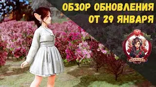 [BDO] 📄 ОБЗОР ОБНОВЛЕНИЯ ОТ 29.01.26 / НОВЫЙ КОСТЮМ / УЛУЧШЕНИЕ ГИЛЬДИЙ / УПРОЩЕНИЕ АКАДЕМИЯ ОЛИВИИ