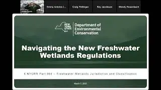 Navigating New Waters: Understanding DEC's Freshwater Wetland Regulations for NY Municipalities