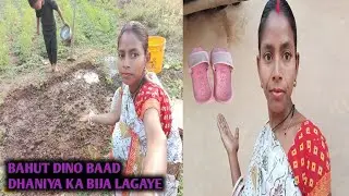 BAHUT DINO BAAD DHANIYA KA BIJA LAGAYE 😐 !! NEW VLOG VIDEO !! Garib Didi Ki Vlog  !! 