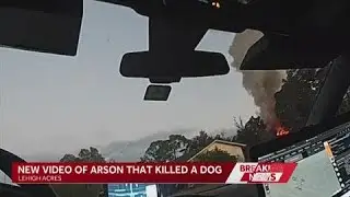 Woman arrested for arson after Lehigh Acres house fire kills dog