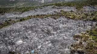 Yaa ka dambeeyay Masiibada dabkii ka kacay Ceeri-gaabo (Alle) ka sukow+Sababta!!!.