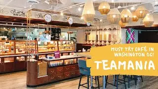 Artsy Caf&eacute;: Teamania // Asian Food Guide (DMV)