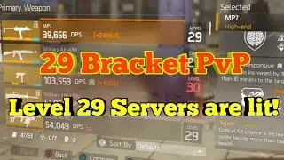 Level 29 Server Fight Madness | Oldschool PvP