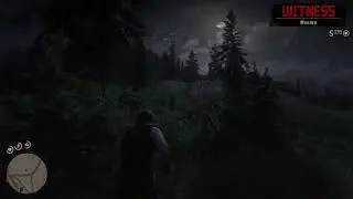 Rdr2 testing out my guns