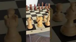 Classic Roll-Up Chess Set &ndash; Portable Wooden Pieces for Travel |Chess shop e4e5| #chess #chessgame