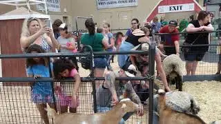 Great Backyard Adventures! TV Goes to the San Diego County Fair! Part 1 - June 28, 2019