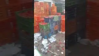 TOMATO TRADING ALL OVER TN,AP,KL,TS CONTACT NUM 9994327205