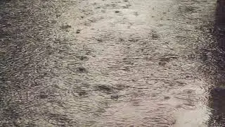 The sound of raindrops in puddles