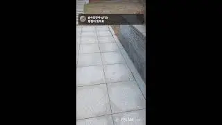 수호천사🐱🐈 라이브 방송