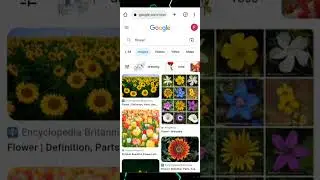 DUCKDUCKGO search engine