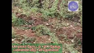 1.50 acr land 200teak tree farm house 2 borwel near kangeyam cal @ 9842399222