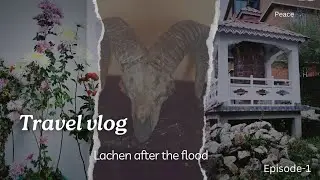 Lachen North sikkim🏔| road condition | A day in lachen ,cleaning🧽🫧 /Episode-1/Tenzing chukyie#travel