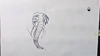 Elephant ka drawing kaisa laga 📞97234 56305 #drawing  #abmaroonarts