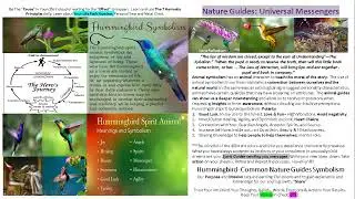 Hummingbird|Animal Totem Spiritual Meaning|Divine Alignment|F4YT