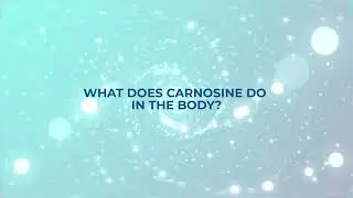WHAT DOES CARNOSINE DO  IN THE BODY ANTI-AGING, BRAIN FUNCTION, STAMINA | David Schmidt X39 Patches