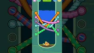 Save The Fish Game 🎏 Pull The Pin Game Level 270 #shorts #1mviralgaming