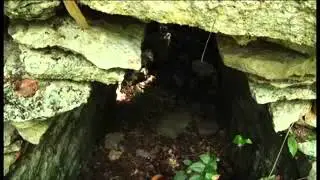 2012, el tiempo de los mayas. COBÁ