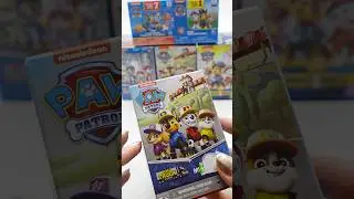 Paw Patrol Big Truck Pups Mystery Box - Mini Figure Surprise #ASMR #mysteryminis #unboxing #toys