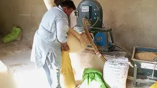 Unique Method of Grinding Wheat | Traditional Flour Making Process