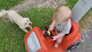 Colt Driving Lightning