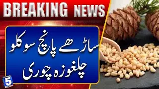 Five and a half hundred kilos of pine nuts stolen | Breaking News | Channel5NewsHD