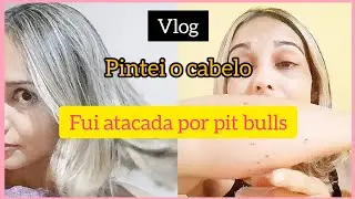 Fui atacada por pit bulls | vlog