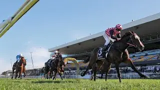 Insight into the &lsquo;art and science&rsquo; behind horse racing analysis
