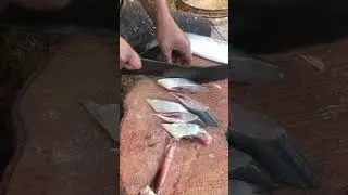 Silver fish cutting skills. #fish  #shorts