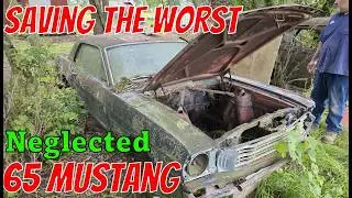 Reviving the WORST 65 Mustang V8 Forgotten for 45 YEARS! Gets 2nd life! Saving a Classic on a BUDGET