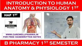 Introduction to Human Anatomy and physiology 1st || HAP 1st || B Pharmacy 1st sem ||Carewell Pharma