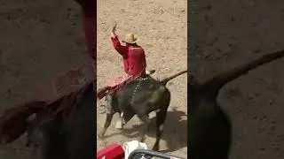 bucking bull rodeo cowboys #shorts