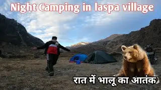 Camping in a Village FULL of Bears