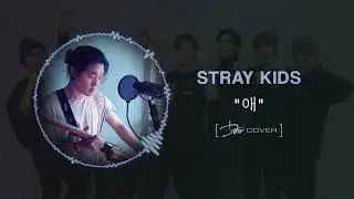 Stray Kids - 