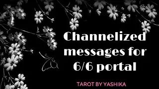 CHANNELIZED MESSAGES FOR 6/6 PORTAL