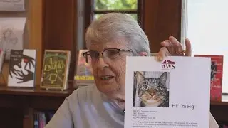 Kennebunk Free Library fosters cats with rousing success