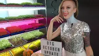 On The Grow - October 2020 Channel Update - Microgreens
