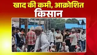 Morena News: यूरिया DAP खाद को लेकर किसान परेशान | अधिकारी और जनप्रतिनिधियों के खिलाफ आक्रोशित किसान