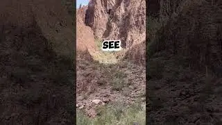 Do you see it? #shorts #publiclands#freecamping#nomadlife#midlife#womenwhotravel#rvliving