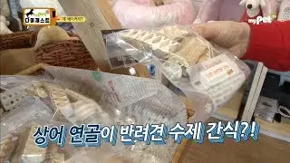 반려견, 특제 간식 전문점을 가다