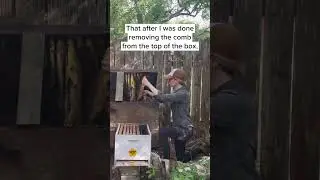 Big Beehive in a Box - Short Version