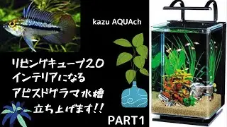 【アクアリウム】リビングキューブ20 インテリアになるレイアウト水槽、アピストグラマ繁殖用水槽立ち上げます！PART1【kazu AQUAch】