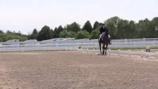 Fields and Fences Dressage
