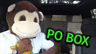 Лучшее открытие почтового ящика ВСЕГДА!!