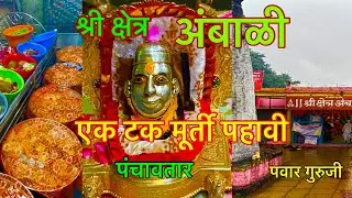 वेधक मूर्ती दर्शन#श्री दत्त मंदिर अंबाळी#Ambali khand उमरखेड यवतमाळ#prabhakarpawar #mahanubhav 