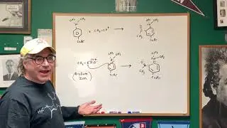 Organic Chemistry Mechanisms - DAT Destroyer